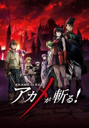 بوستر أنمي Akame ga Kill!