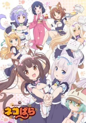 بوستر أنمي Nekopara