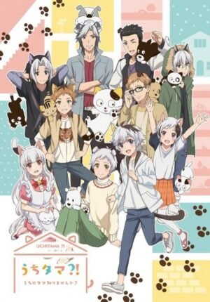 بوستر أنمي Uchi Tama?! Uchi no Tama Shirimasen ka?